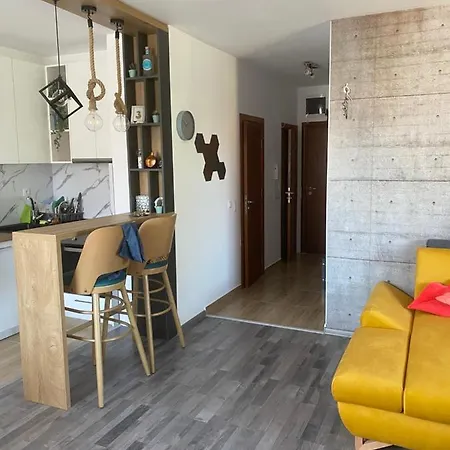 Teddy Hills Velingrad