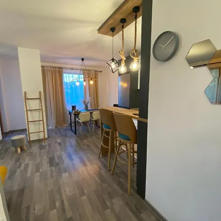 Teddy Hills Velingrad